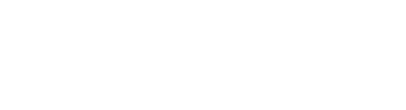 FARO INTERNATIONAL LLC logo