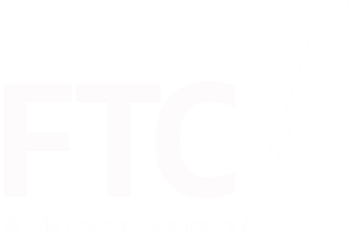 FAVOR TECHCONSULTING LLC logo