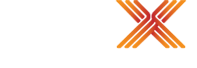FCX PERFORMANCE INC logo