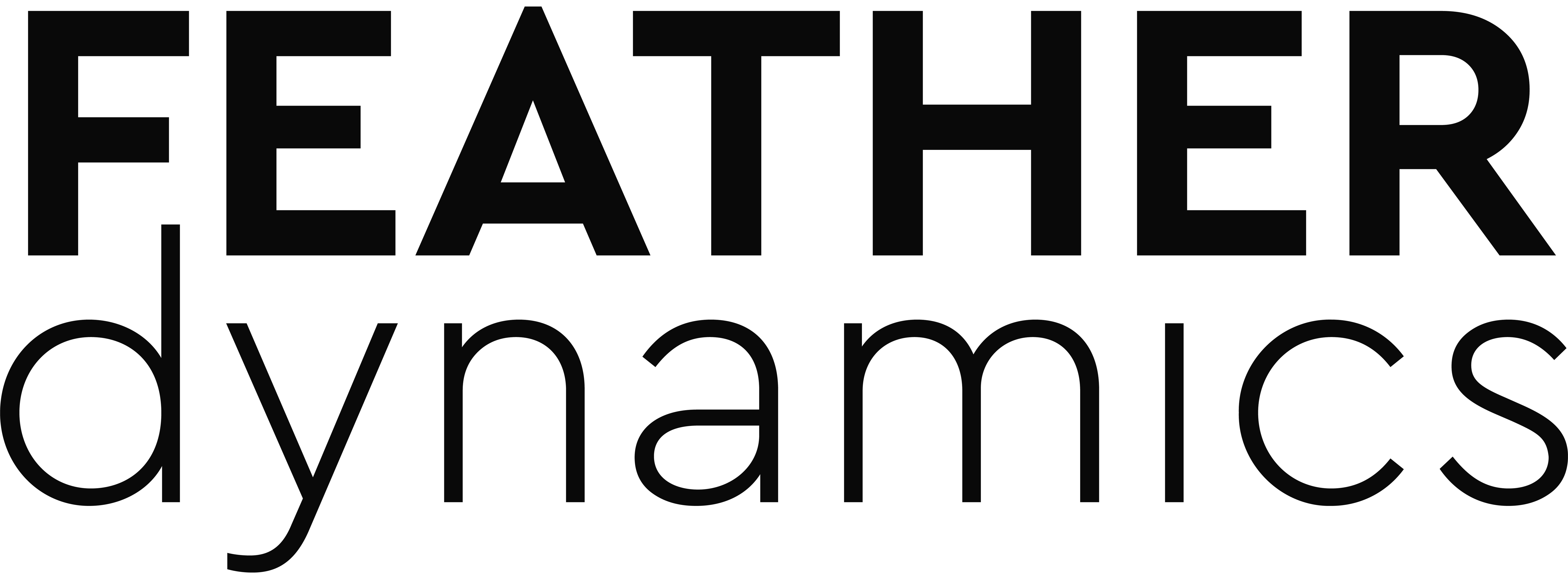 FEATHER DYNAMICS INC. logo