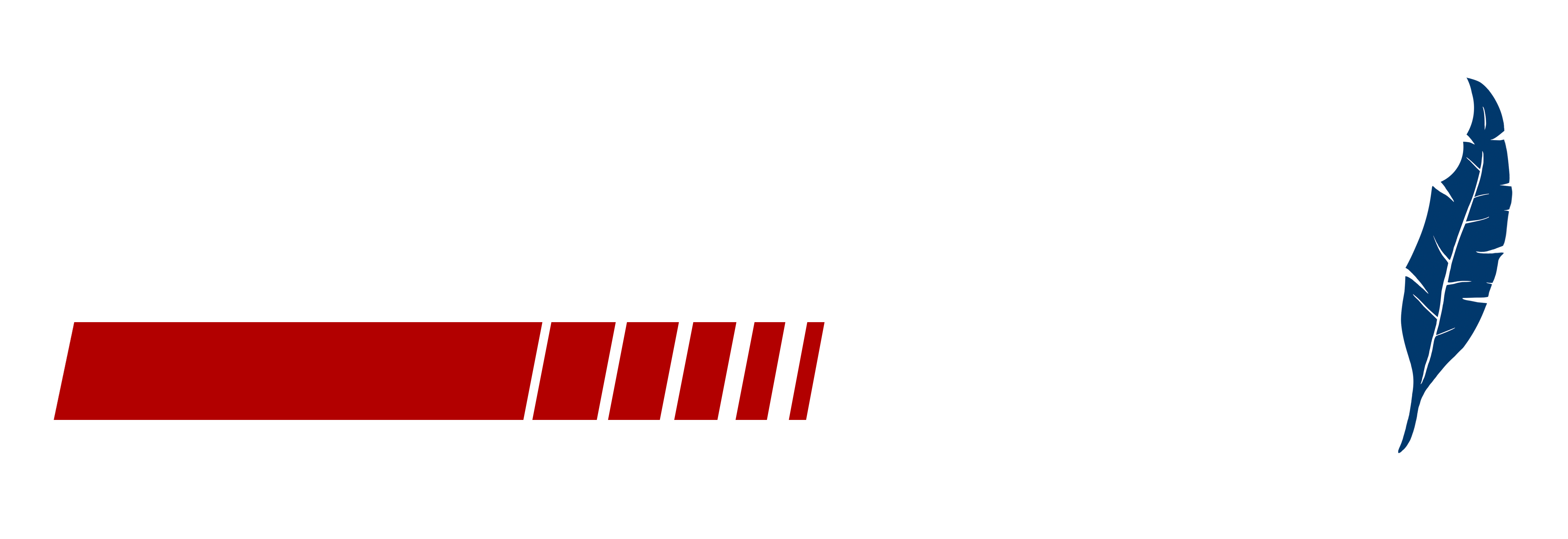 FEATHERLITE EXISS SOONER HOLDING CO LLC logo