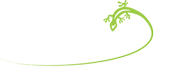 FEDERAL BUSINESS COUNCIL, INC. logo