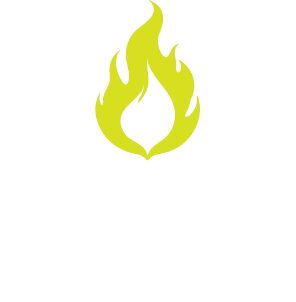 FELIXFIRE logo