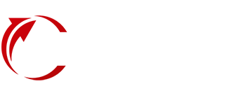 FEPS GMBH logo