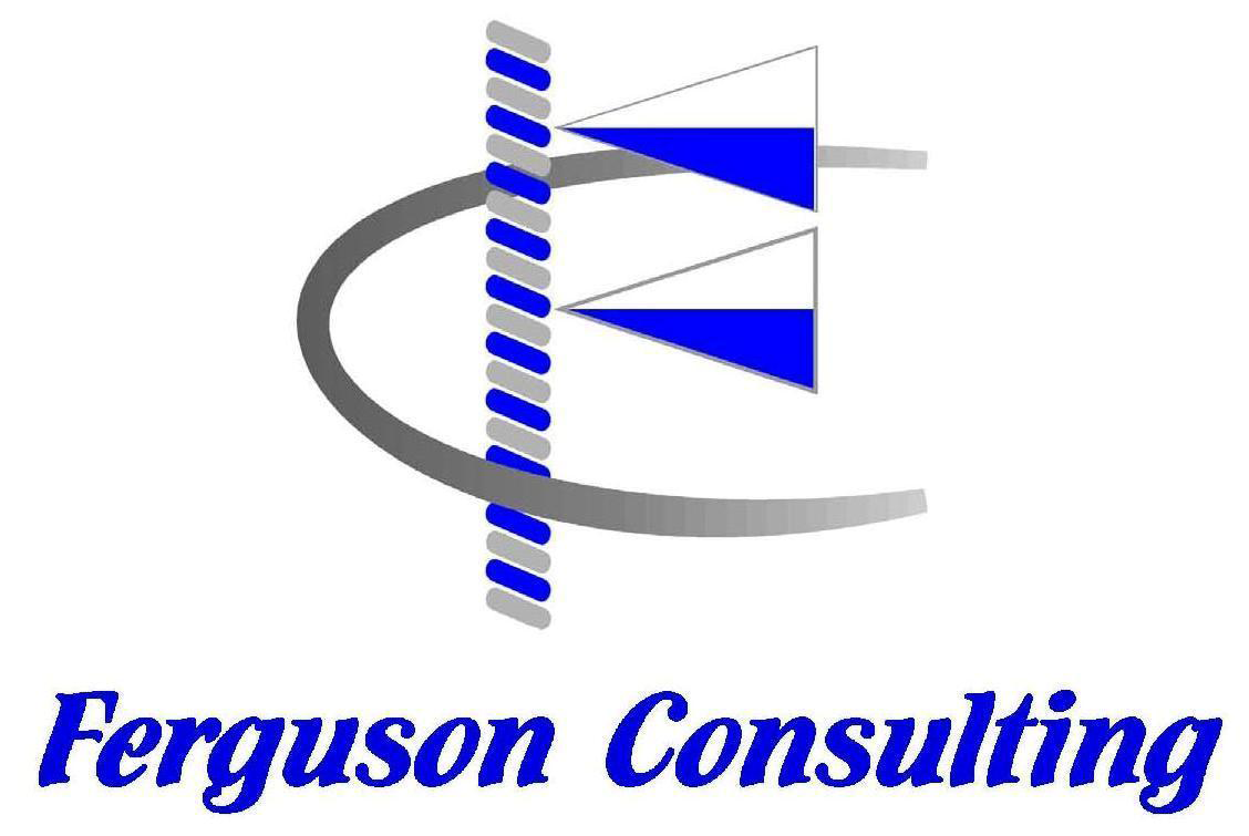 FERGUSON CONSULTING, INC logo