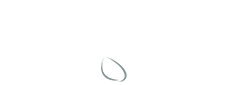 FEURY IMAGE GROUP logo
