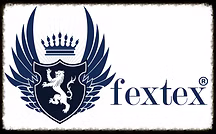 FEXTEX SYSTEMS INC logo