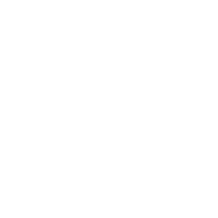 FEYEN-ZYLSTRA HOLDINGS, LLC logo