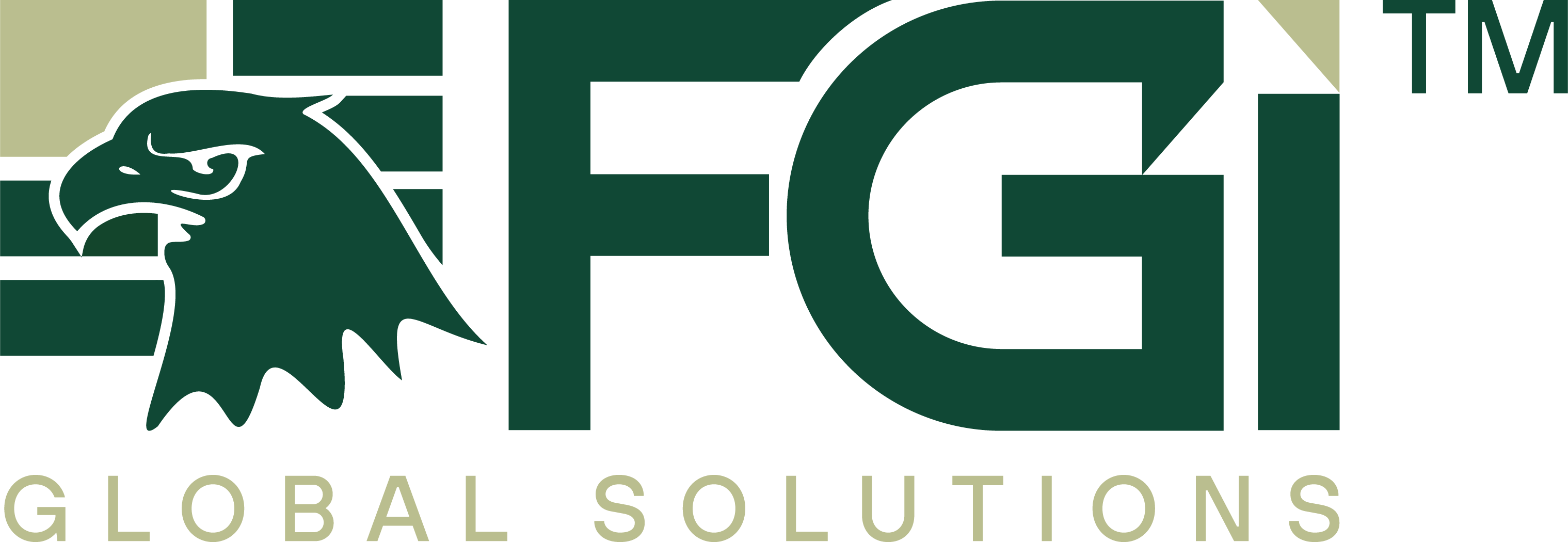FGI GLOBAL SOLUTIONS logo
