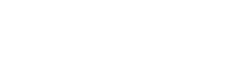 FIBERR USA, LLC logo