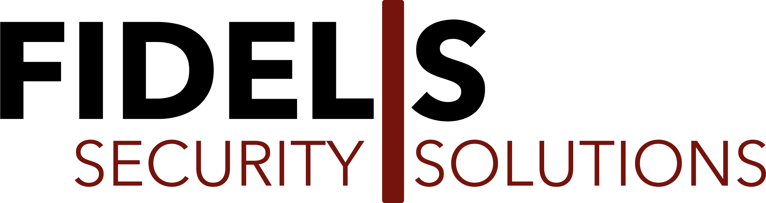 FIDELIS SECURITY SOLUTIONS, LLC logo
