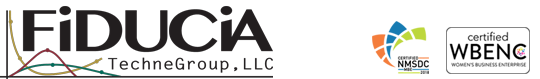 FIDUCIA TECHNEGROUP LLC logo