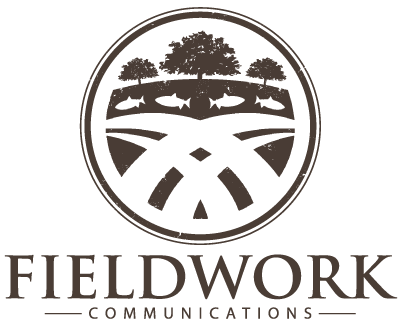 FIELDWORK COMMUNICATIONS LLC logo