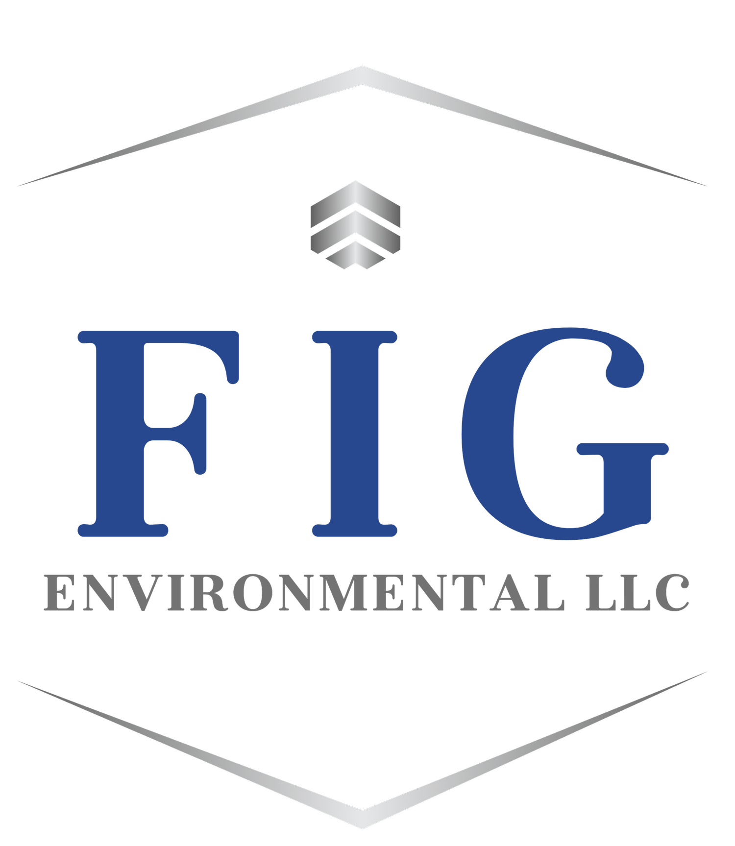 FIG ENVIRONMENTAL LLC logo