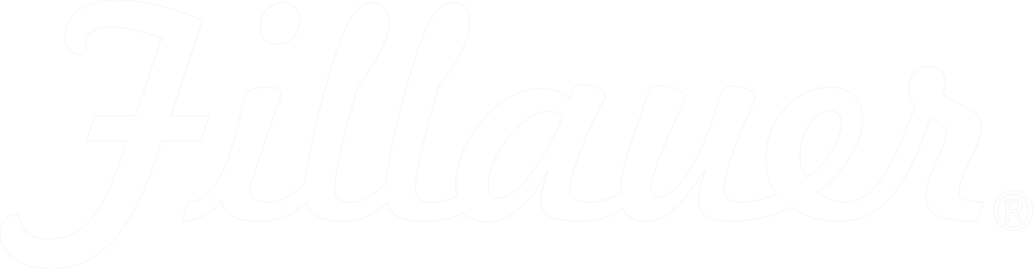 FILLAUER COMPANIES, INC logo