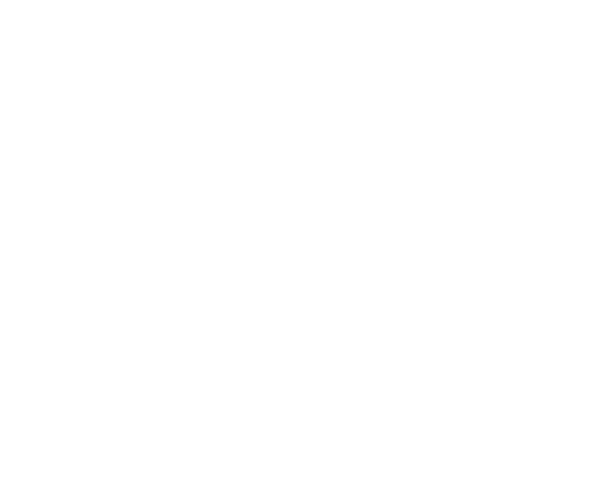 FILMIT LLC logo