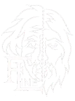 FINE LINE DESIGNS LLC logo