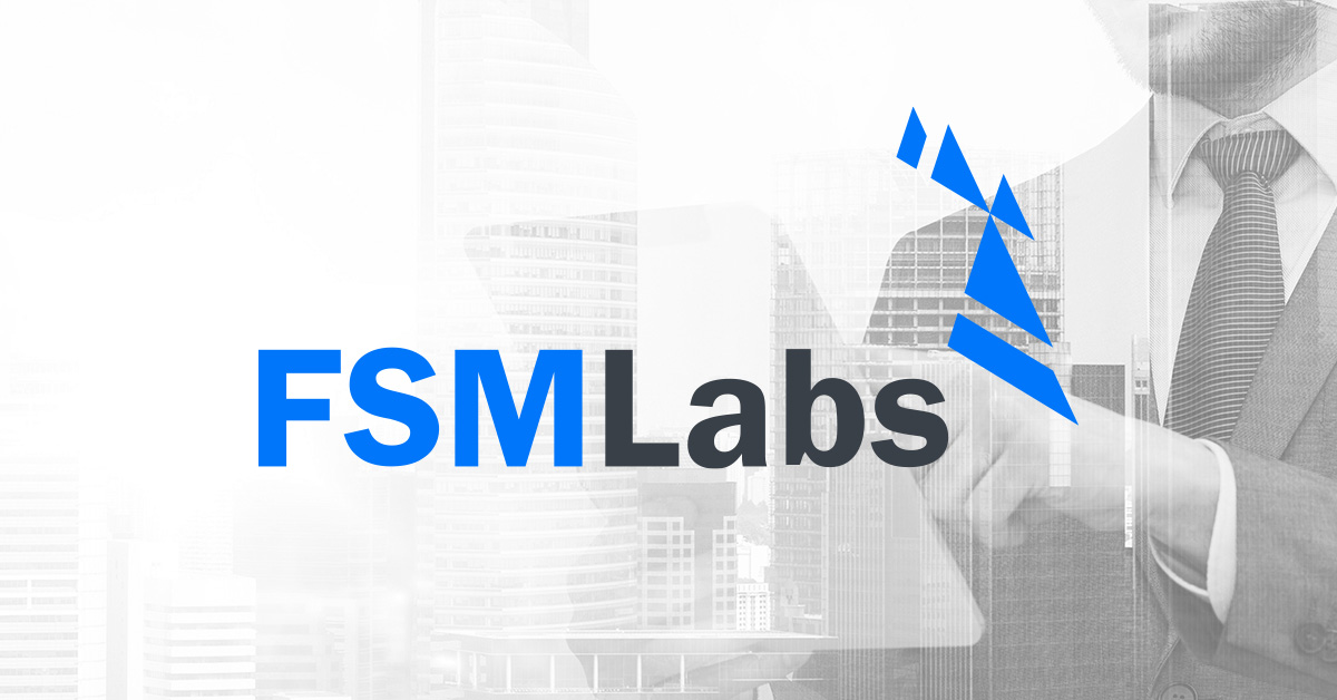 FINITE STATE MACHINE LABS INC logo