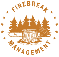 FIREBREAK MANAGEMENT LLC logo