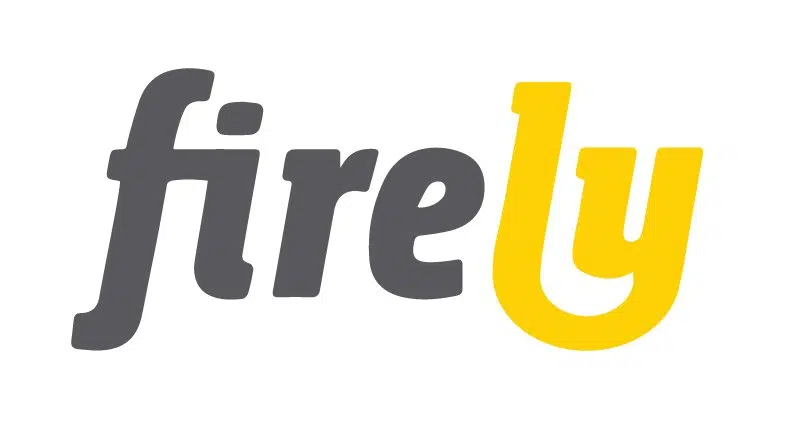 FIRELY USA INC. logo
