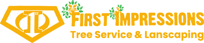 FIRST IMPRESSIONS logo