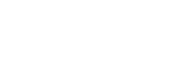 FIRST NATIONAL TECHNOLOGY SOLUTIONS, INC. logo