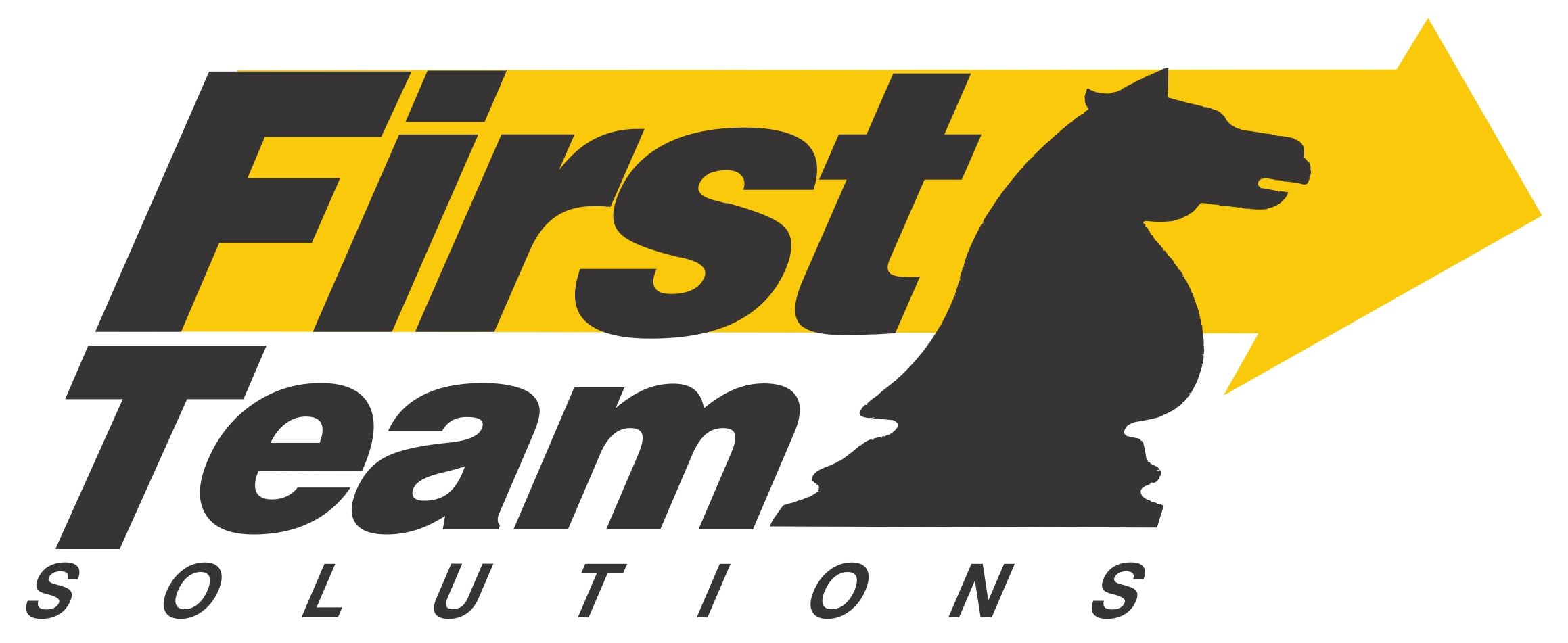 FIRST TEAM SOLUTIONS-LLC logo