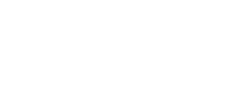 FIRSTSPEAR, LLC logo