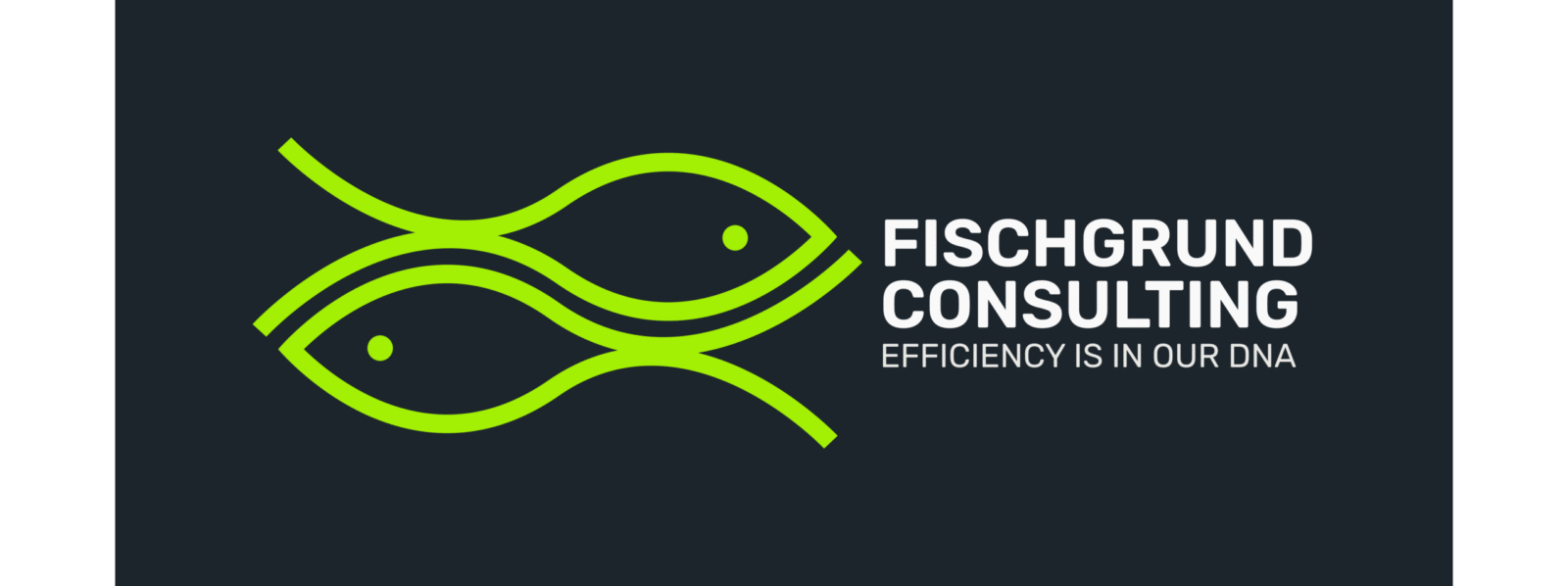 FISCHGRUND CONSULTING, LLC logo