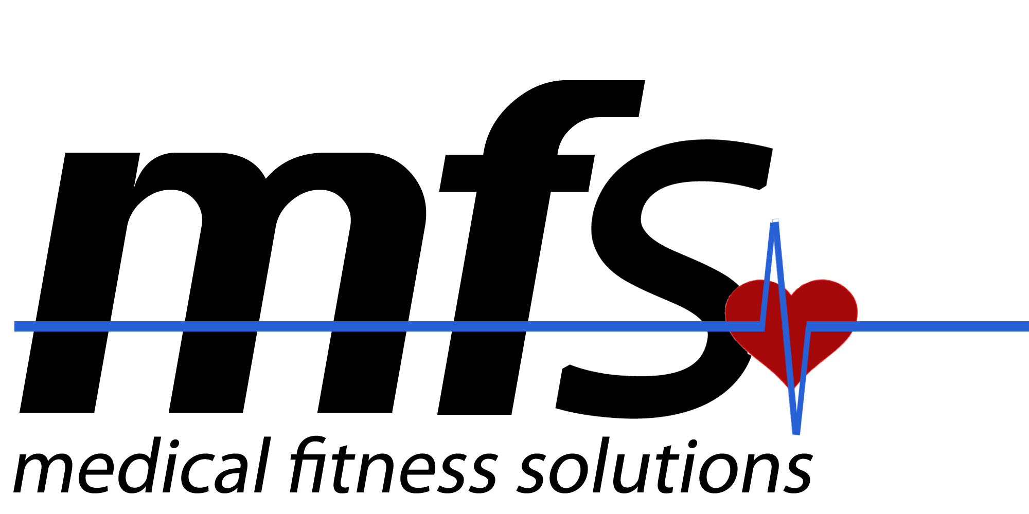 FITNESS SYSTEMS LLC logo
