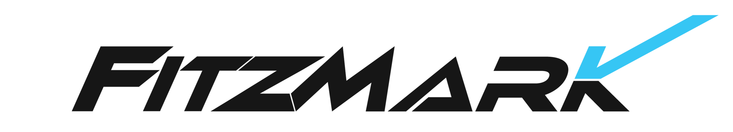 FITZMARK LLC logo
