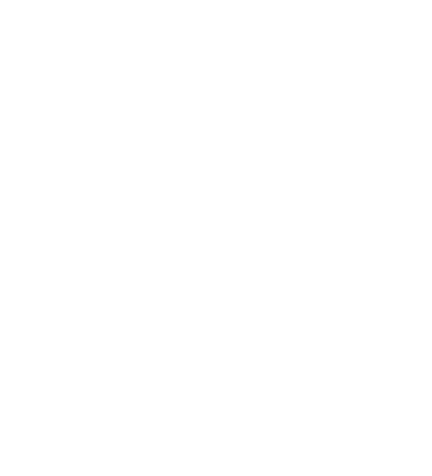 FIVE RULE LLC logo