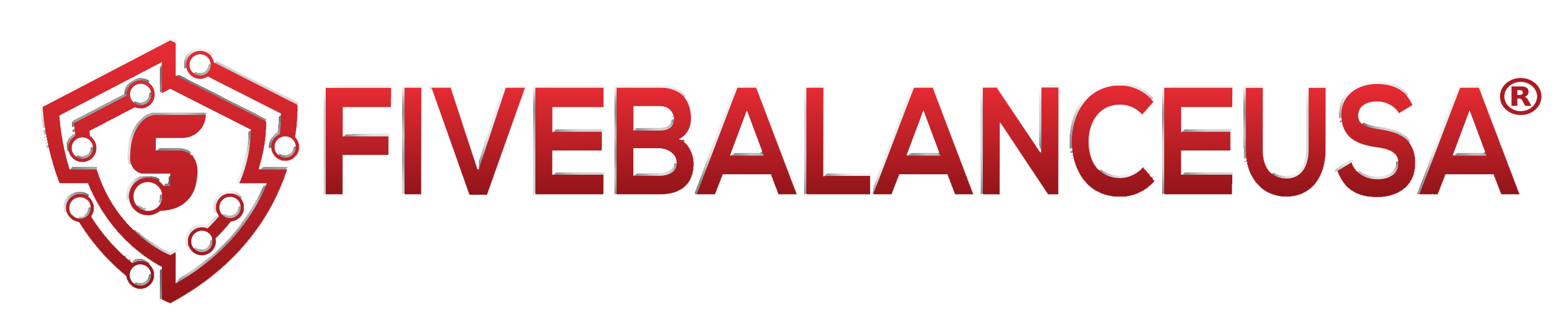 FIVEBALANCEUSA.LLC logo