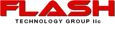 FLASH TECHNOLOGY GROUP LLC logo