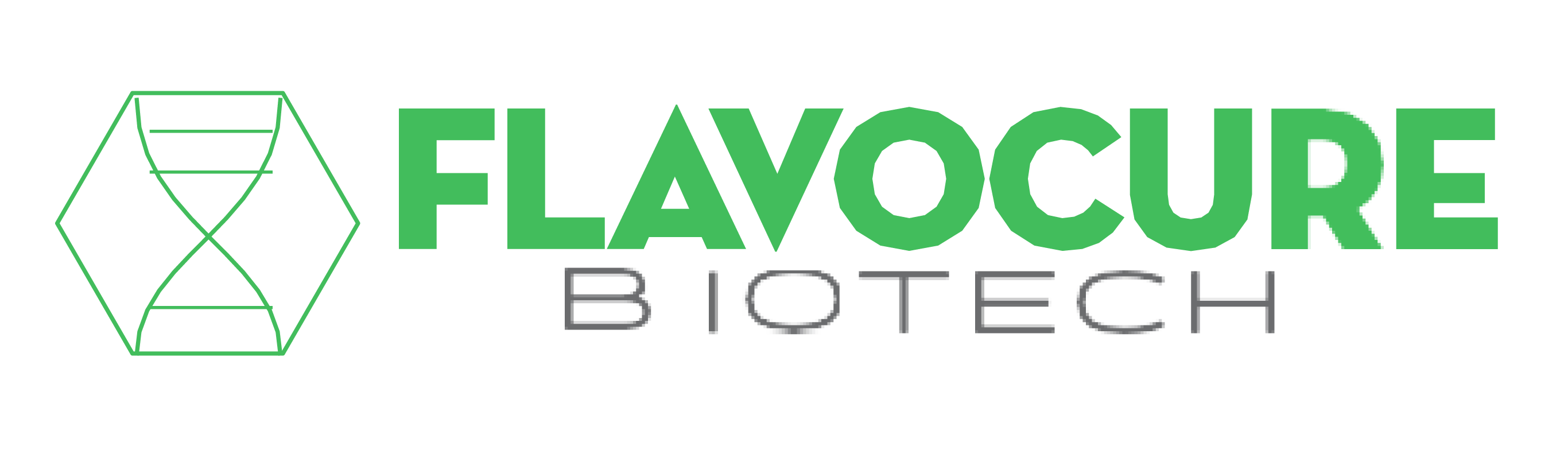 FLAVOCURE BIOTECH LLC logo