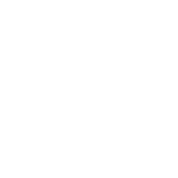 FLEXIBLE & INTEGRATED TECHNICAL SERVICES LLC logo