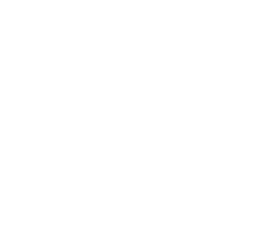 FLIBE ENERGY INC logo