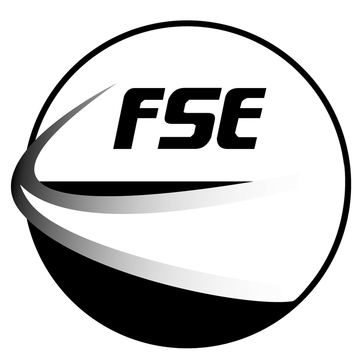 FLIGHT SIM ENGINEERING LLC logo