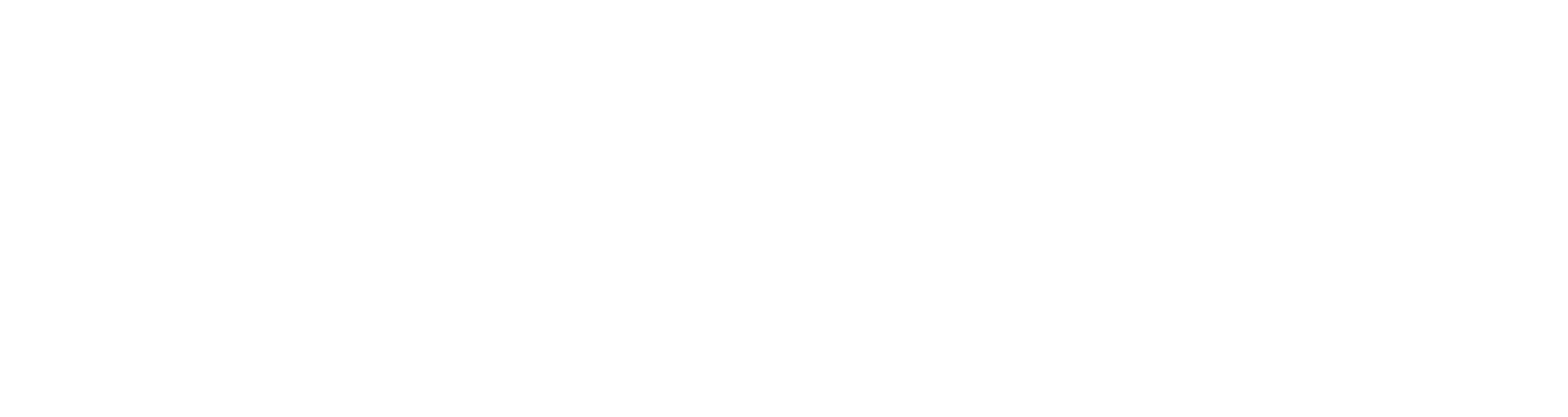 FLIGHTBRIDGEED LLC logo