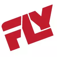 FLY CONSULTING, LLC logo