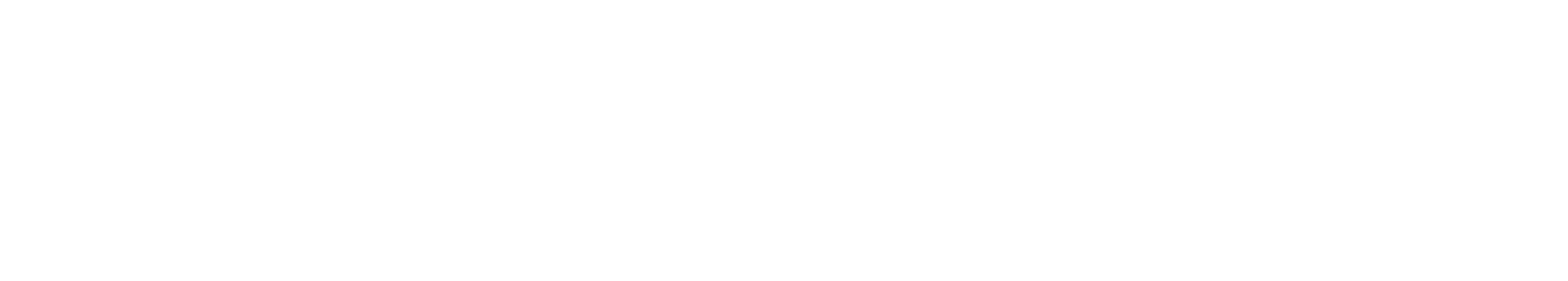 FLYBY SHINE LLC logo