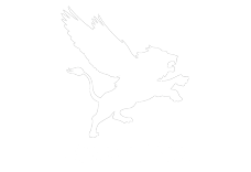 FLYING LION INC logo