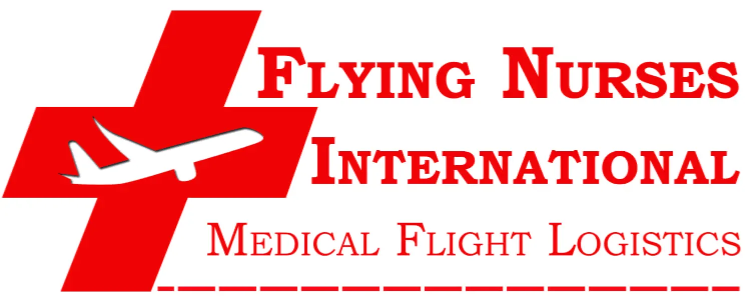 FLYING NURSES INTERNATIONAL LLC logo