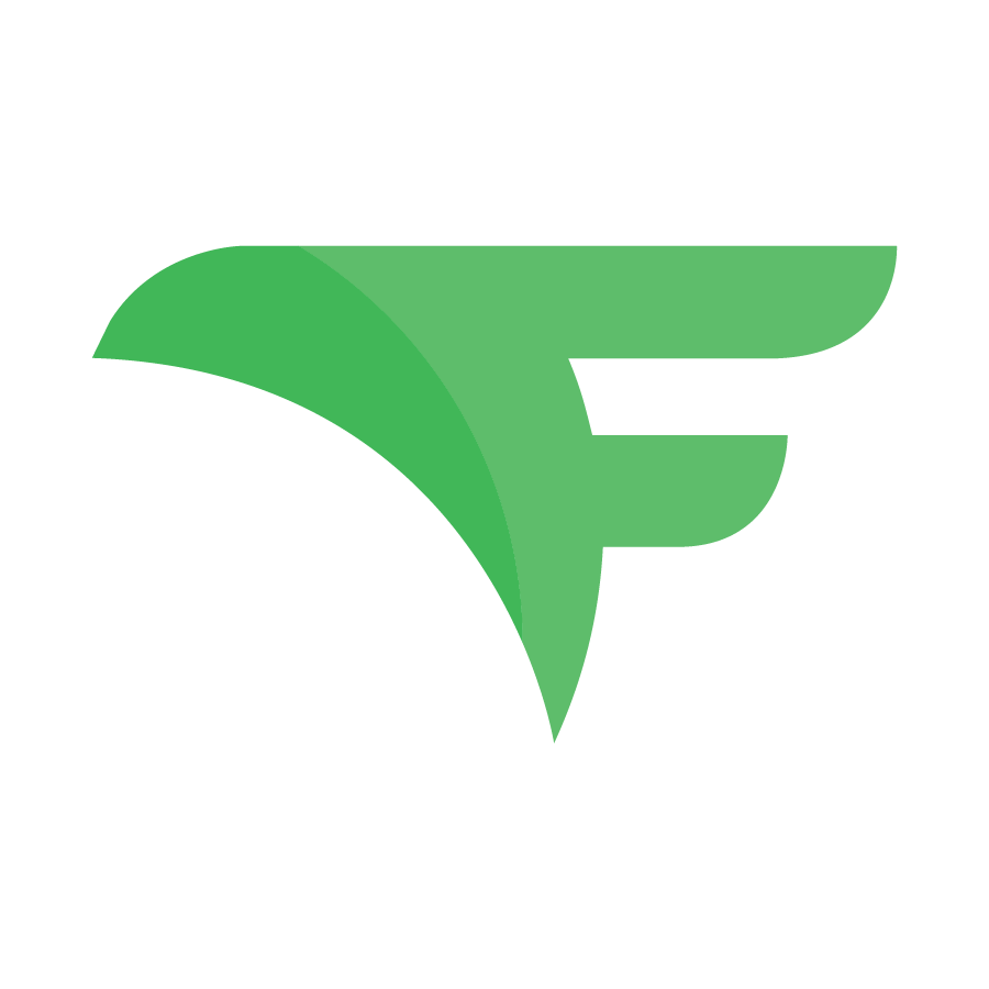 FLYING V GROUP INC logo