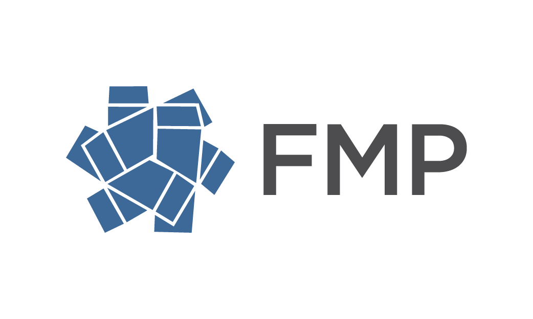 FMP CONSULTING logo