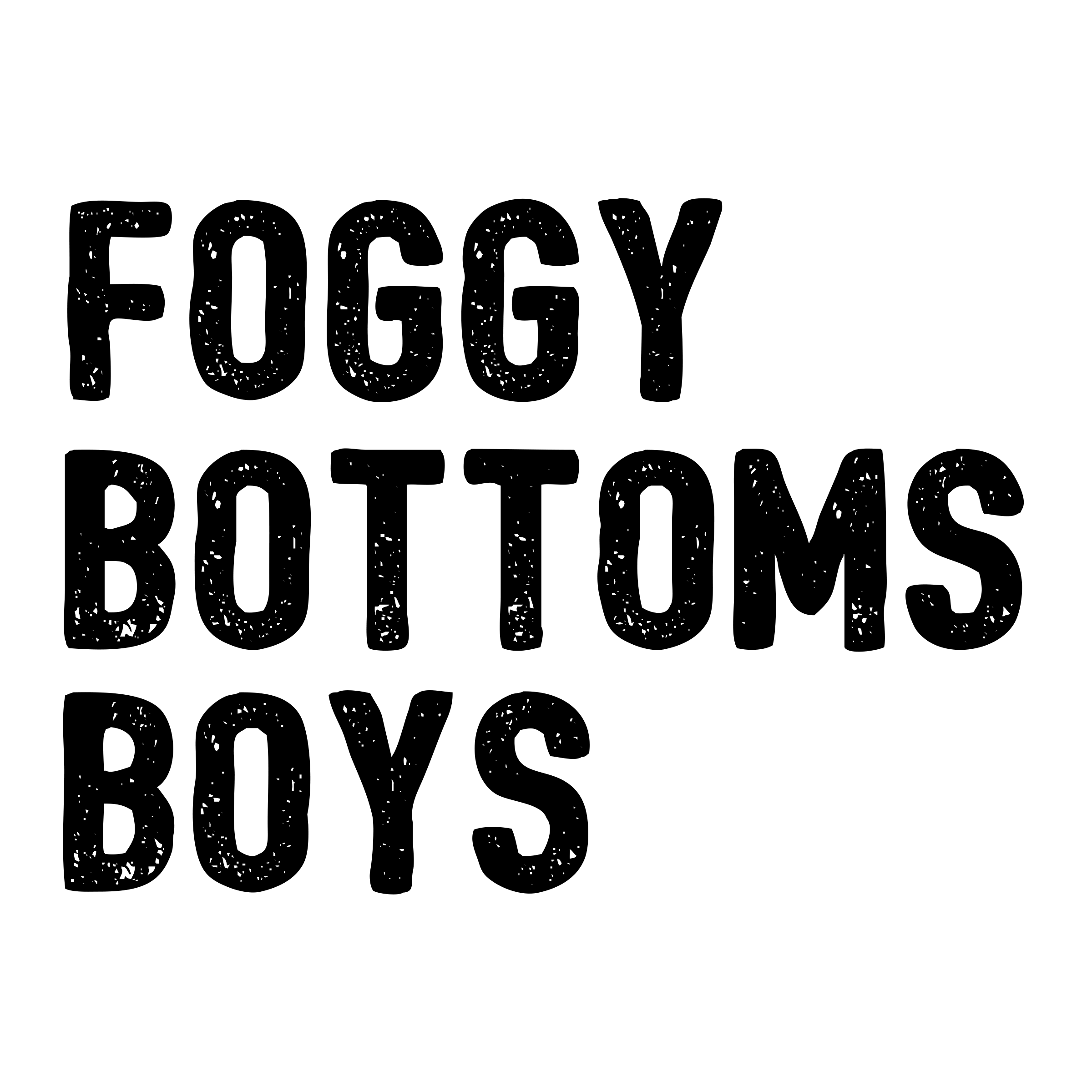 FOGGY BOTTOMS BOYS LLC logo