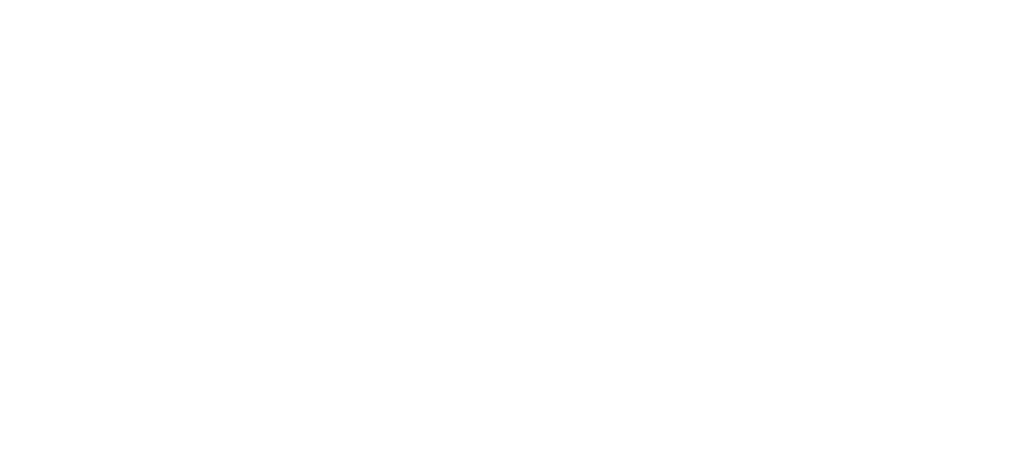 FOLIA MATERIALS, INC logo