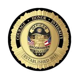 FORCEMETRICS INC logo