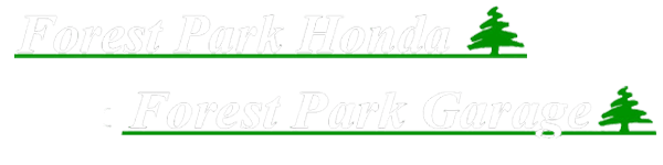 FOREST PARK ENTERPRISES INC logo