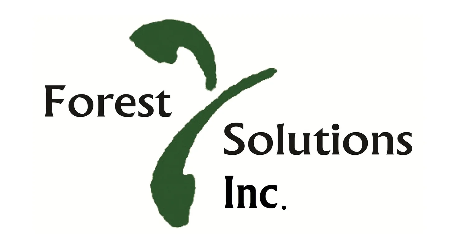 FOREST SOLUTIONS INC logo